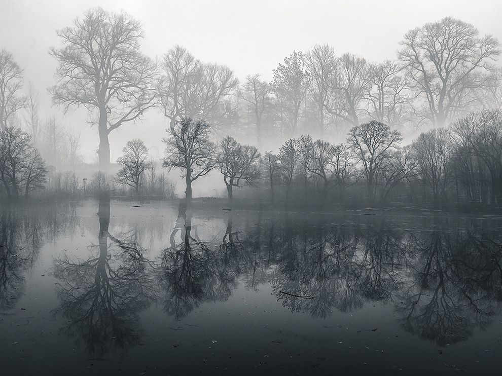 I miei fantasmi. La ricerca psichica sul paranormale