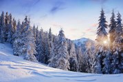 Inverno: poesie di Oscar Wilde, Ada Negri e Gianni Rodari