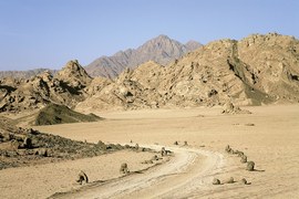 Jebel Nagus