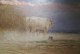 La pittura bolognese al Museo dell’Ottocento a Bologna